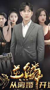 逆鳞从离婚开始封面图
