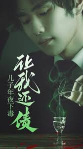 儿子年夜下毒让我还债封面图