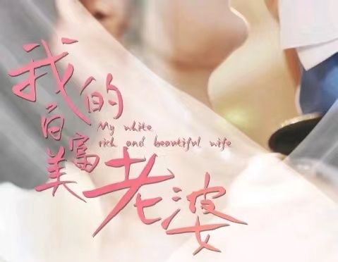 我的25岁白富美老婆封面图