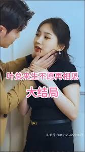 叶总来生不愿再相见封面图