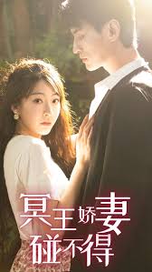 冥王娇妻惹不得封面图