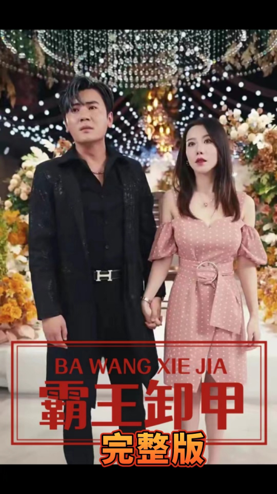 霸王卸甲封面图