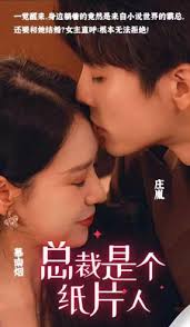 总裁是个纸片人封面图