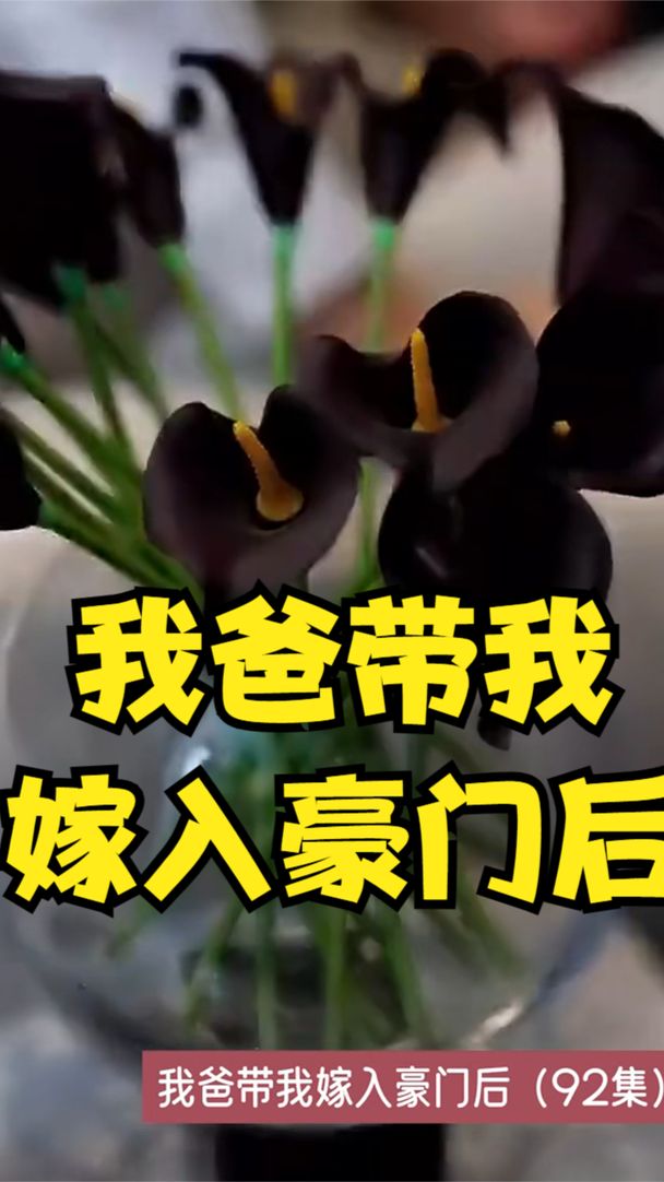 我爸带我嫁入豪门后封面图