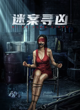 迷案寻凶电影版封面图