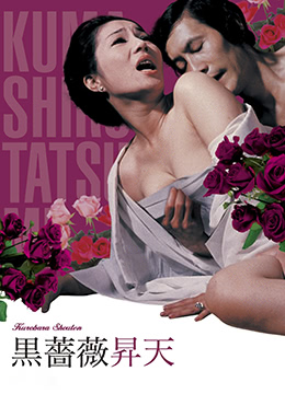 黑蔷薇升天封面图