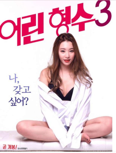 年轻的嫂子3封面图