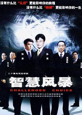 智慧风暴封面图