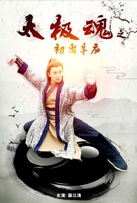太极魂之初出茅庐封面图