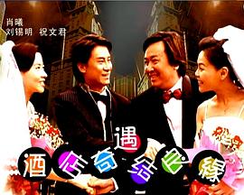 酒店奇遇结良缘封面图