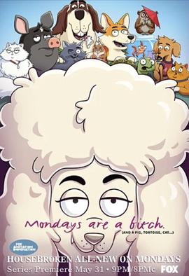 宠宝话疗团第一季封面图