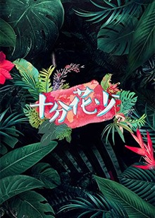 十分花少封面图