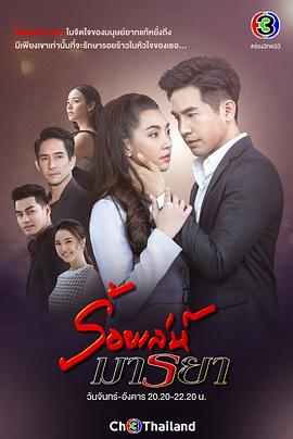 诱爱入局封面图