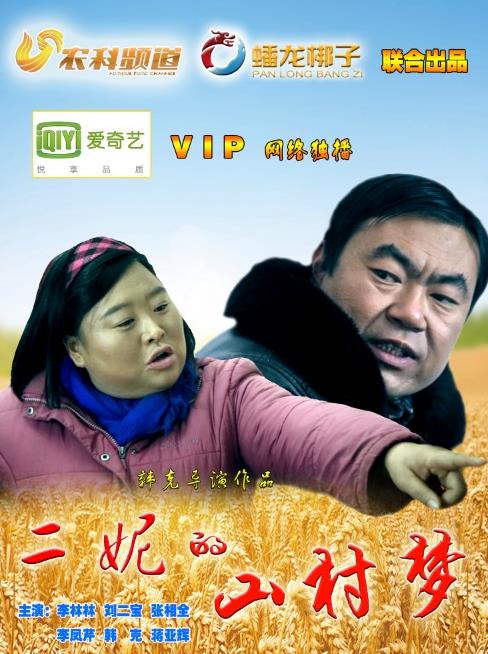 二妮的山村梦封面图