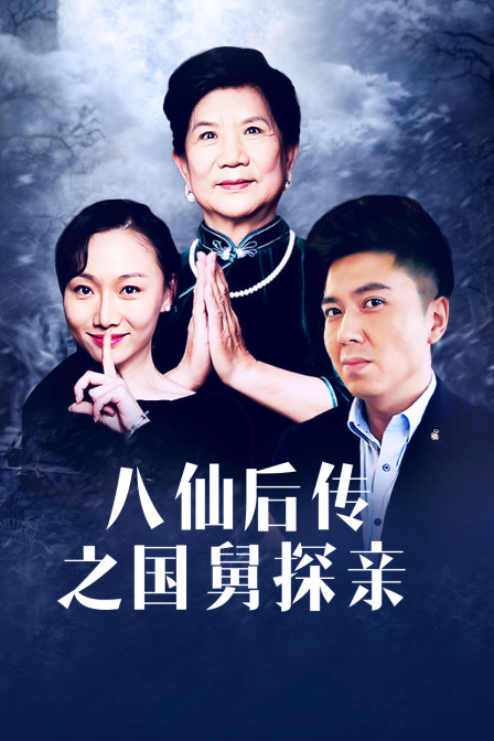 八仙后传之国舅探亲封面图
