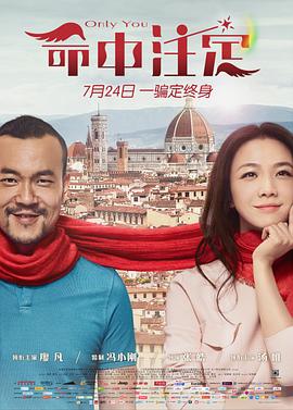 命中注定封面图