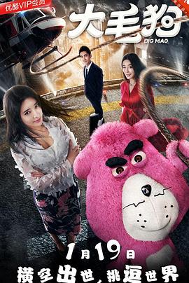 大毛狗封面图
