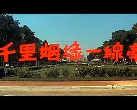 千里姻缘一线牵封面图