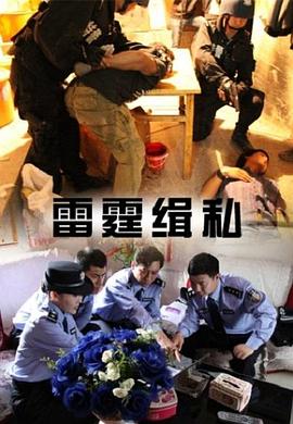 雷霆缉私封面图