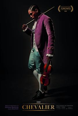 爱乐骑士封面图