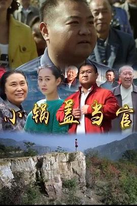 小锅盖当官封面图