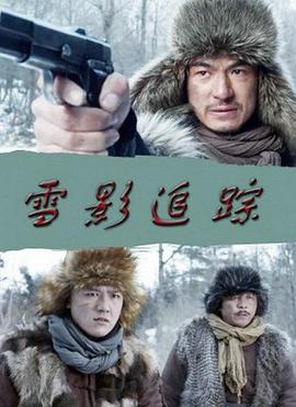 雪影追踪封面图