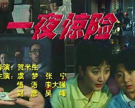 一夜惊险封面图