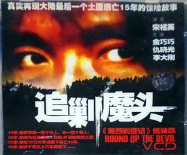 追剿魔头封面图