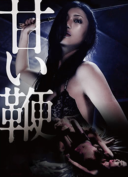 甜蜜皮鞭封面图