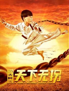 功夫阿宝：天下无拐封面图