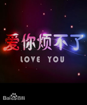 爱你烦不了封面图