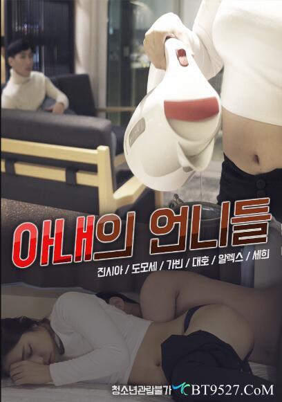 妻子的姐妹们封面图