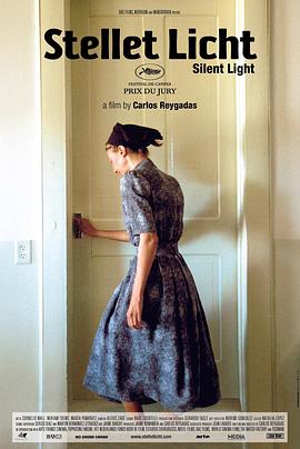 寂静之光封面图