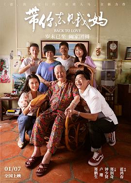 带你去见我妈封面图