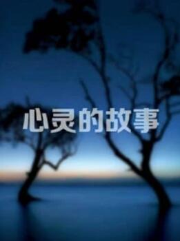 心灵的故事封面图