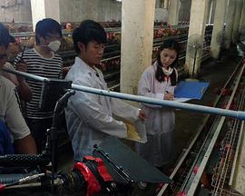 我和教授“羊粪豆”封面图