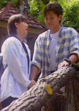 最后一个乘客封面图