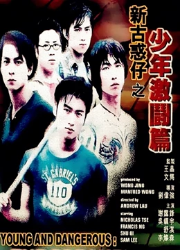 新古惑仔之少年激斗篇封面图