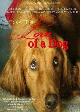 旺旺心事封面图