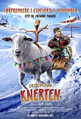 极光大冒险封面图