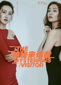 神秘来访者封面图